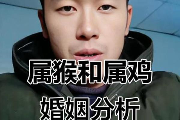 鸡和猴属相婚配是否相合？解析生肖配对中的相生相克关系