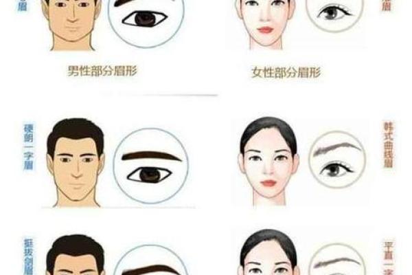 面相断眉 面相断眉毛算命图解