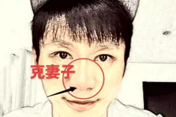 面相断眉 面相断眉毛算命图解