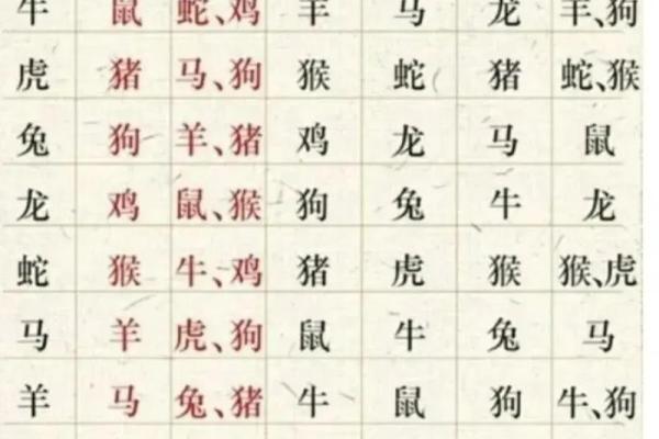 属马女和什么属相最配婚姻，属相婚配指南解析