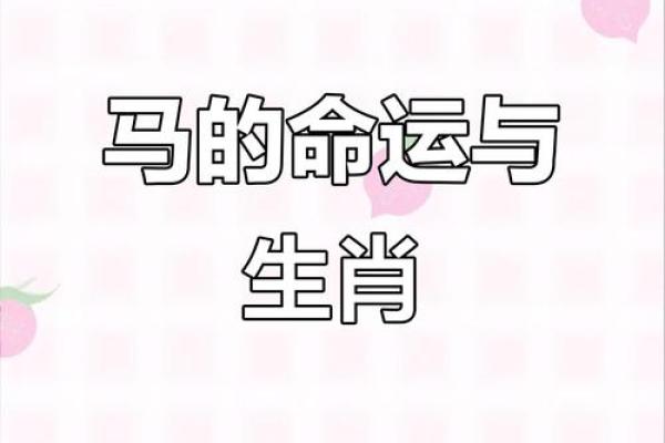 1978年出生属马者的最佳婚配属相和年份详解