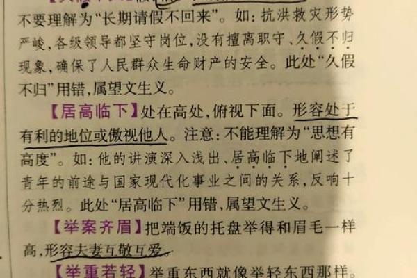 日居夜出猜一肖(日居什么什么的成语)