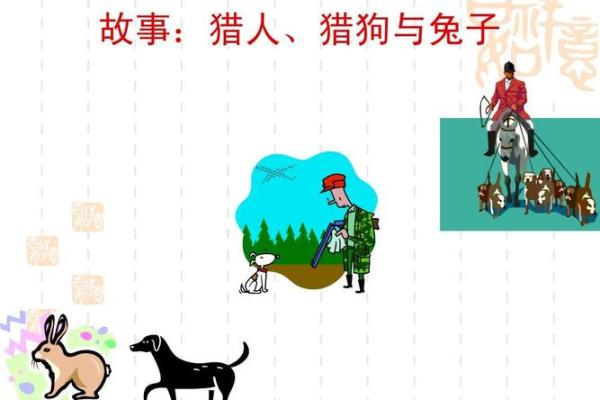 男兔女鸡结婚后的真实生活案例分享与经验解析