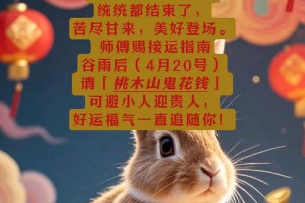1987年属兔的婚姻最终会和什么属相最幸福长久