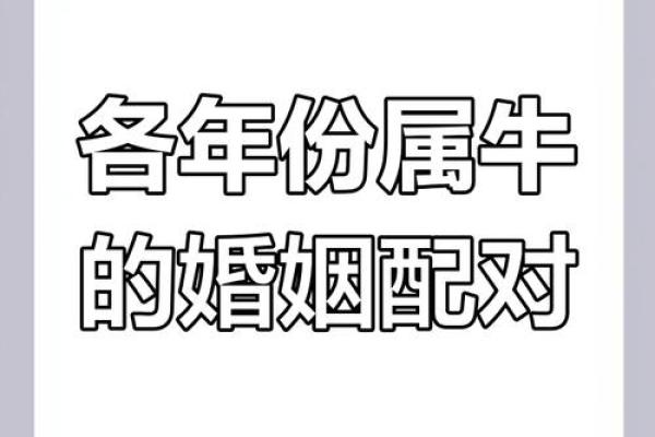 97年属牛男正缘在哪一年 97年属牛男正缘在哪一年