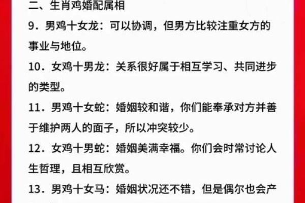 81年属鸡和82年属狗的婚姻配对真的合适吗？解析生肖婚配的奥秘