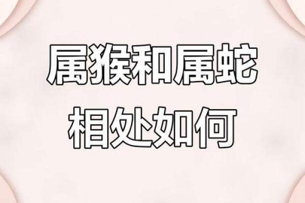 蛇男和马女的婚姻相配度如何？专家分析婚后生活与化解冲突的方法