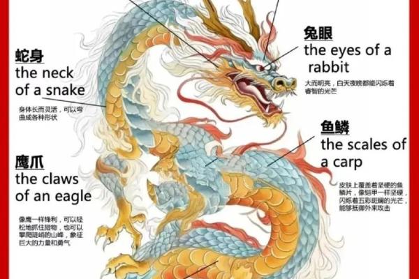 万紫千红所代表的生肖动物是否有官方或文化上的明确解释？