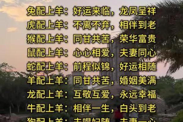 龙和羊的属相婚配如何？解析两者性格与婚姻契合度