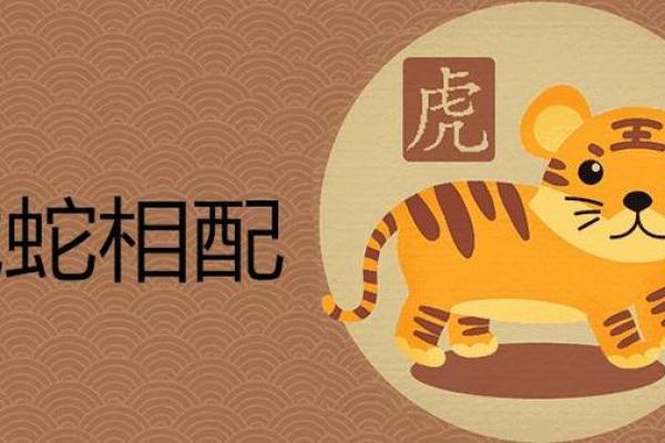 属虎男和属蛇女的婚姻配对指数高吗？性格合不合？