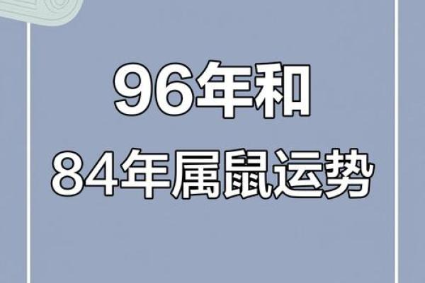 1996年属鼠人婚姻命运如何，是否会幸福长久