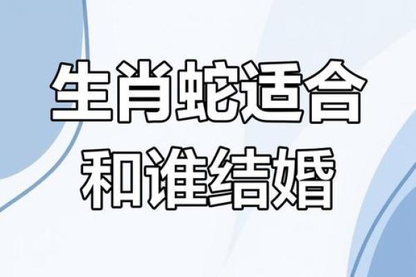 属蛇男与属马女结婚后会面临哪些挑战？如何化解矛盾？