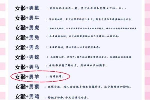 十二生肖配对婚姻：属鼠和属马的人结婚会幸福吗？