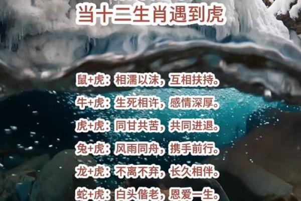 1998年属虎的人最佳婚配属相是哪些生肖呢