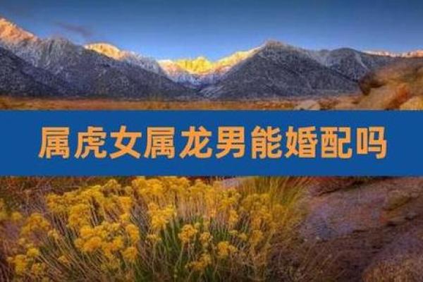 男虎女龙婚配是否相克?解析生肖配对中的婚姻禁忌与化解方法 男虎女龙婚配是否相克?解析生肖配对中的婚姻禁忌与化解方法