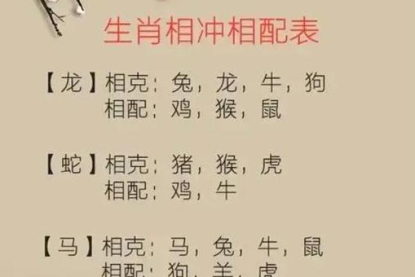 男兔和女龙的属相结婚会相克吗？专业命理师深度分析