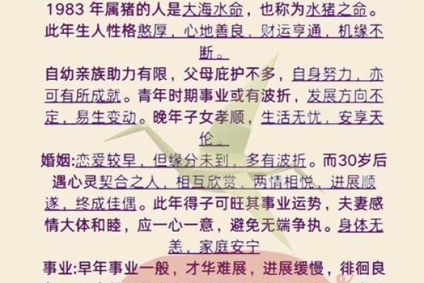 属猪和属龙的婚姻配对是否合适，性格与命运解析指南
