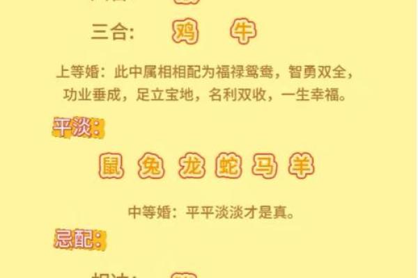 从生肖角度分析马和鼠的合作伙伴关系，事业上能否互补共赢？