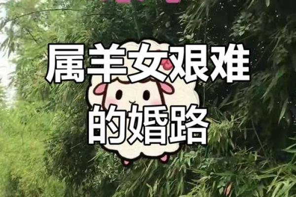 91年属羊的人二婚后的婚姻状况如何，是否能够幸福长久？