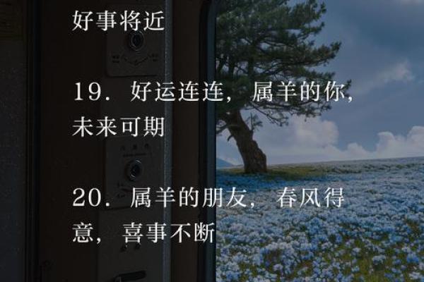 79年属羊46岁感情运势如何，今年会遇到正缘吗？