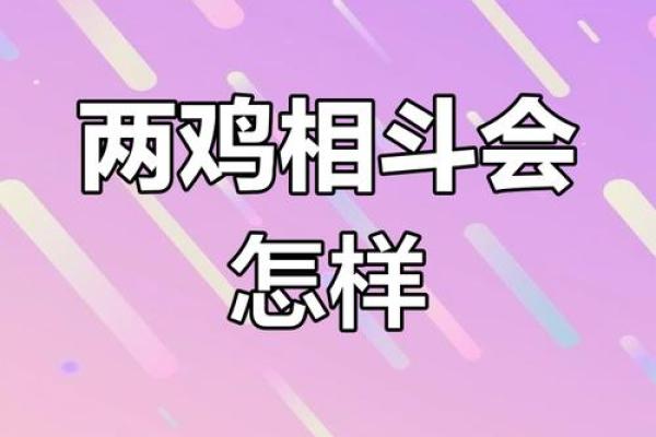 马和鸡属相婚配是否合适？解析两者性格与婚姻长久之道