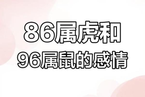 96年属鼠和98年属虎的婚姻配对是否合适，生肖相合吗？