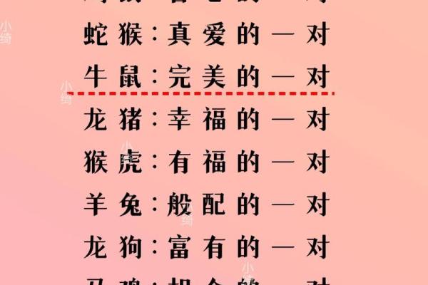 男蛇女马婚配是否相合？解析生肖配对中的情感与婚姻走势