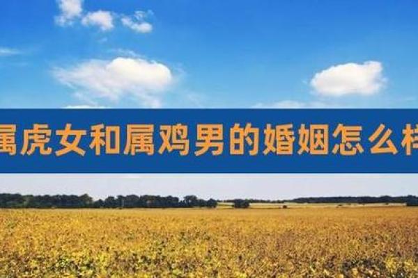 男属鸡女属虎相差5岁婚姻相配吗?生肖配对与年龄差距的影响解析 男属鸡女属虎相差5岁婚姻相配吗?生肖配对与年龄差距的影响解析