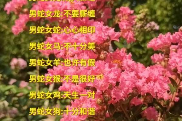 从性格角度分析,女虎和男蛇的婚姻组合有哪些优缺点? 从性格角度分析,女虎和男蛇的婚姻组合有哪些优缺点?