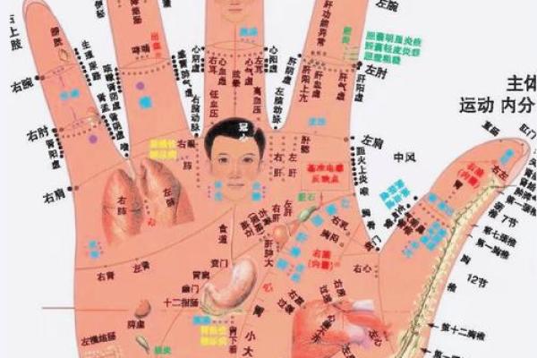 女生手相右手,女人右手掌纹图解算命