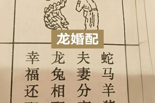 属羊的女性婚姻配对属相解析，哪些生肖最合适？