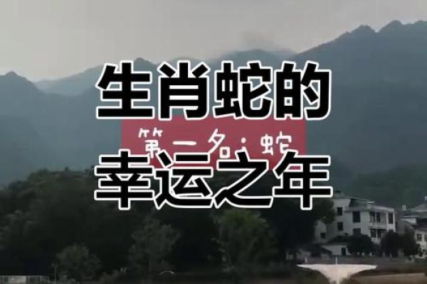 36岁属蛇的婚姻运势如何，今年会有正缘出现吗