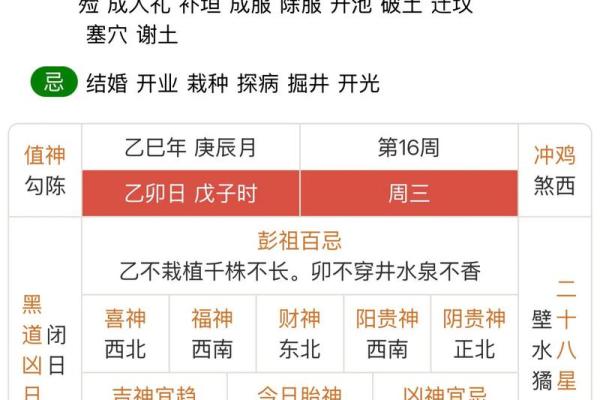 819是什么节日(819什么日子)