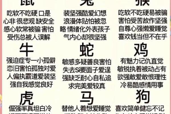 大象最忌讳四个属相 大象与什么属相相克