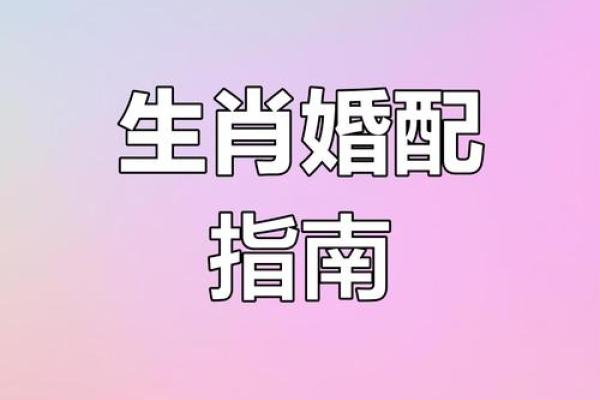从生肖配对角度分析，属兔和属马的夫妻组合是否长久和谐