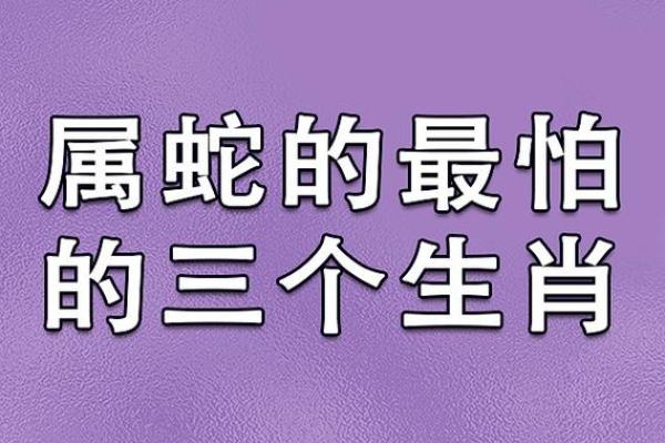 男猪女蛇相差6岁结婚真的会相克吗？如何化解生肖不合的问题