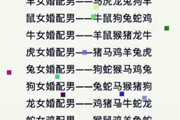 狗和蛇的属相婚配是否合适？解析生肖配对禁忌与建议
