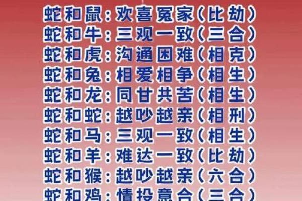 狗和蛇的属相婚配是否合适？解析生肖配对禁忌与建议