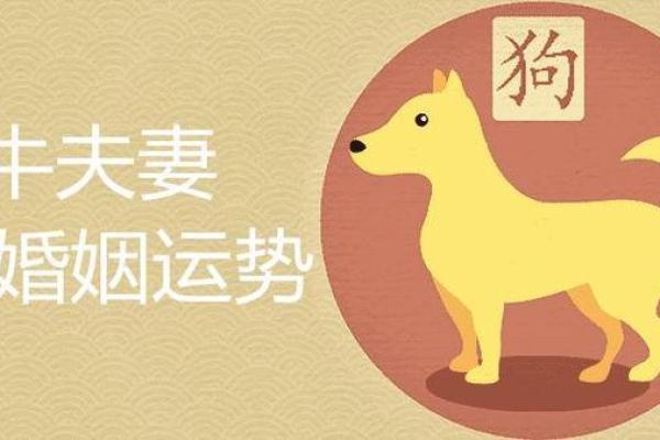 1997年属牛的男性哪一年结婚最好，正缘在哪年出现