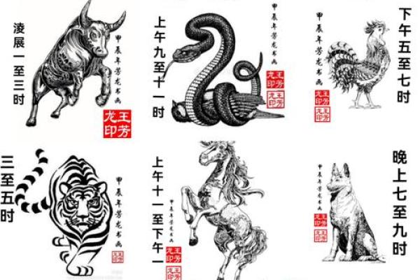 小手小脚是什么生肖