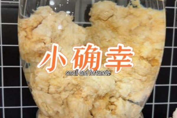 太岁是什么东西 太岁一斤多少钱