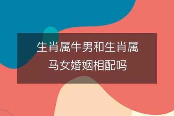 1997年属牛和2000年属龙的婚配是否合适，性格与命运解析