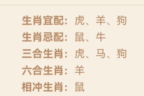 从生肖配对角度分析：属马和属鸡的人在事业合作上能否互补共赢