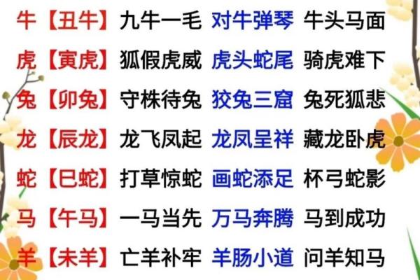 从生肖配对角度分析：属马和属鸡的人在事业合作上能否互补共赢