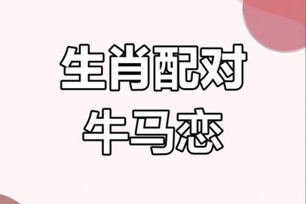 2022年属什么生肖年 1997年属什么生肖