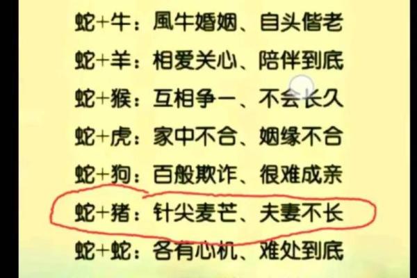 从生肖配对角度分析，属猪和属蛇的人结婚会幸福吗？