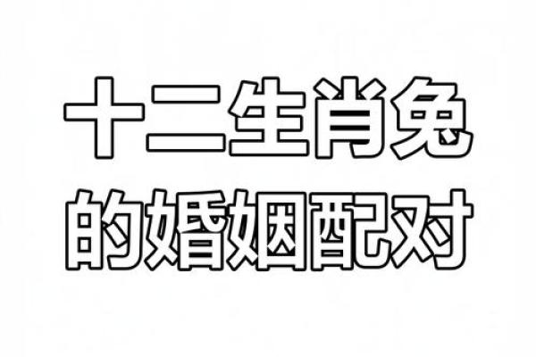 鼠和兔的属相婚配如何，两人在一起合适吗？