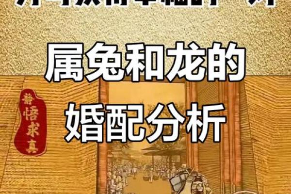兔和兔相配的婚姻是否真的能够幸福长久？