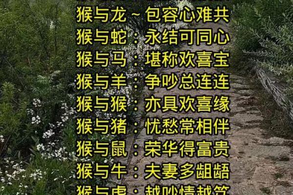 马和猴的属相婚配是否合适？解析两者性格与命运配对