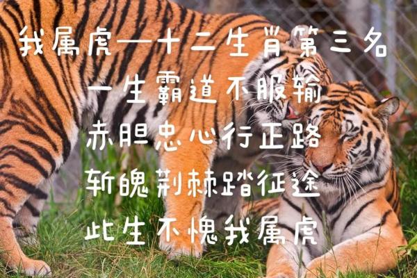 义上云天着个成语在生肖文化中具体指的是哪一个动物象征？